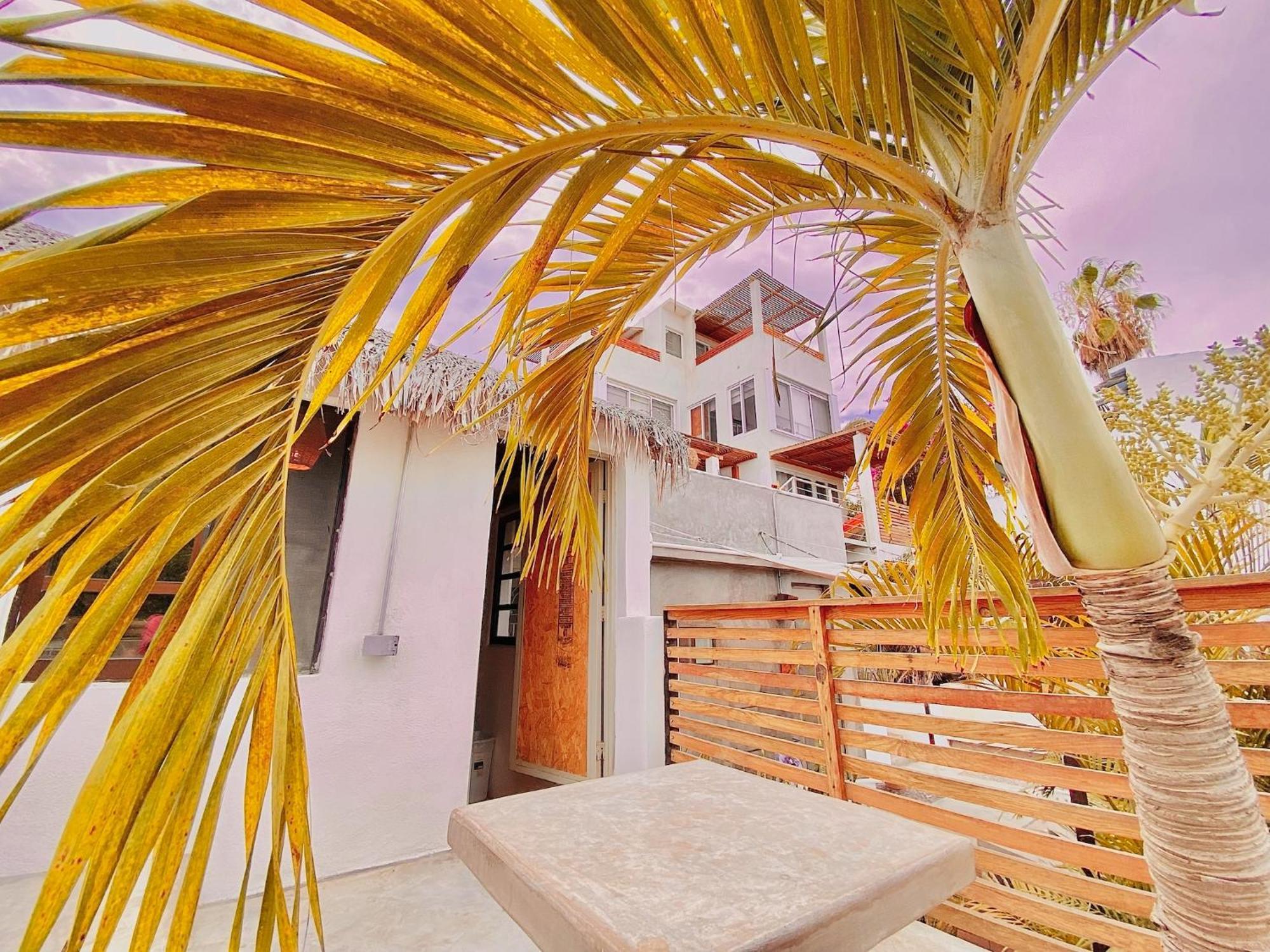 Hotel Perro Surfero Тодос-Сантос Экстерьер фото